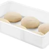 Bac à pâtons 12 litres 53 x 32,5 x ht 9 cm Gilac