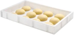Bac à pâtons 15 litres 60 x 40 x ht 9 cm Gilac