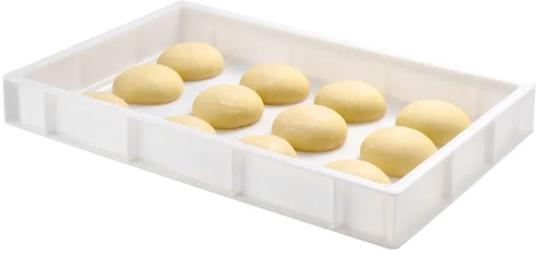 Bac à pâtons 15 litres 60 x 40 x ht 9 cm Gilac