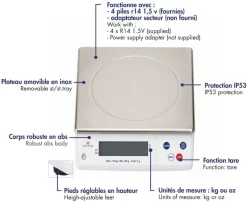 Balance électronique professionnelle Portée 12 kg précision 1 g Tellier