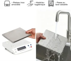 Balance électronique professionnelle Portée 50 kg précision 5 g Tellier