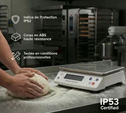 Balance électronique professionnelle Portée 50 kg précision 5 g Tellier