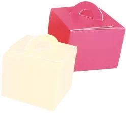 Boîte pliante pour glace 1 litre (x 25) coloris rose Mallard Ferrière