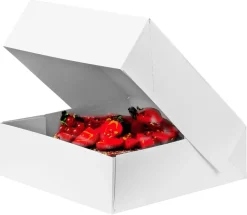 Boîte à vacherin blanche hauteur 13 cm 23 x 23 cm (x 50)