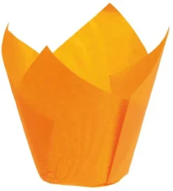 Caissette Tulipcup orange (x 200) droite Ø 5 x ht 8 cm Nordia