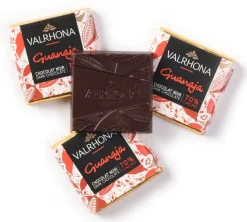 Carrés chocolat Guanaja Instant café par Valrhona 1 kg Valrhona