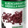 Éclats (crispy) de cassis croustillants 200 g Sosa