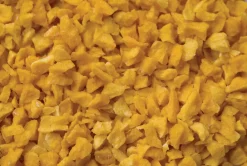 Éclats (crunchy) de mangue croustillants 125 g Ingredissimo