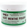 Colorant alimentaire en poudre vert menthe 100 g Mallard Ferrière