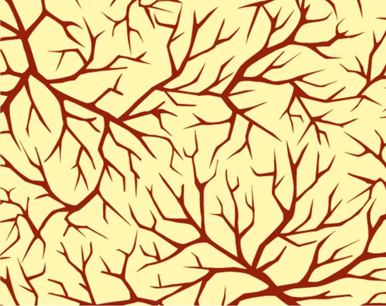 Feuille transfert chocolat branches d'arbres Lot de 5 feuilles Pavoni