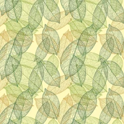 Feuille transfert chocolat Feuilles vertes Lot de 5 feuilles Valrhona