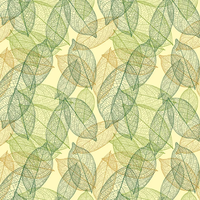 Feuille transfert chocolat Feuilles vertes Lot de 5 feuilles Valrhona