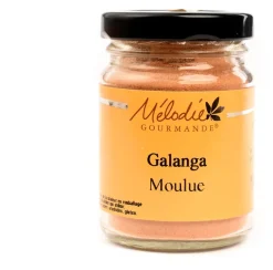 Galanga en poudre 40 g Mélodie Gourmande