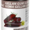 Gélifiant gomme Gellane 500 g Sosa