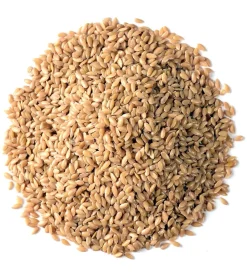Graines de lin doré DDM proche Ingredissimo