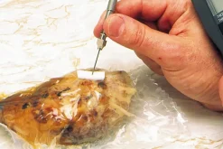 Joint adhésif blanc pour sonde spéciale sous-vide Matfer