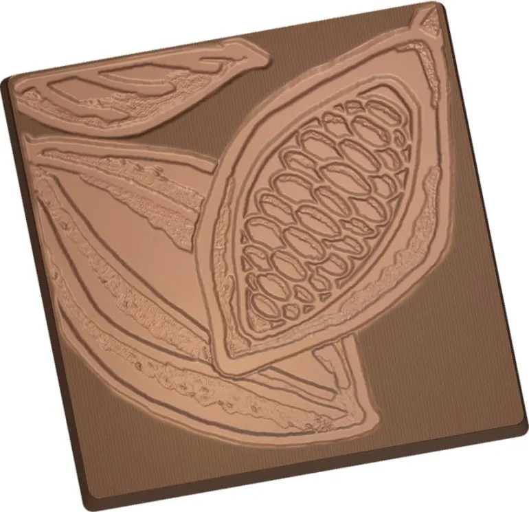 Moule chocolat 2 cabosses