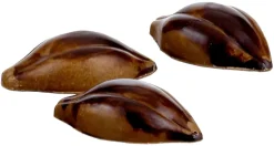 Moule Chocolat 24 cabosses de cacao