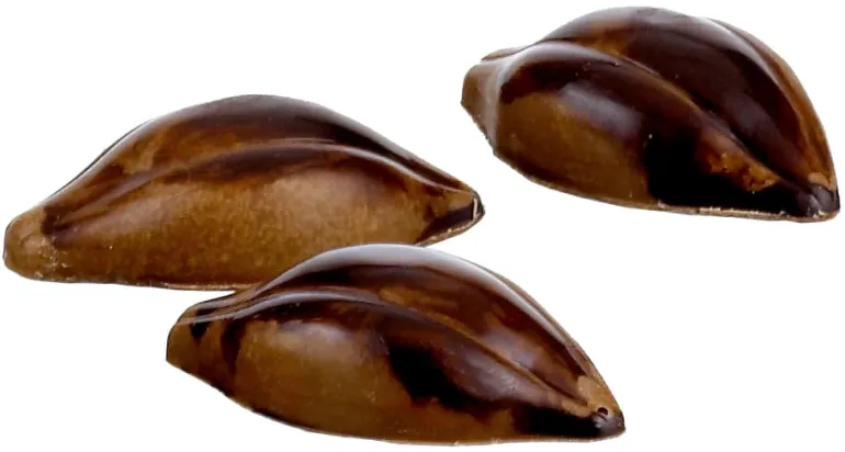 Moule Chocolat 24 cabosses de cacao