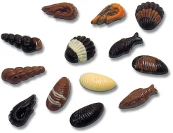 Moule chocolat coquillages et crustacés