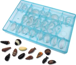Moule chocolat coquillages et crustacés
