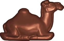 Moule chocolat dromadaire