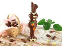 Moule chocolat Lapin Bunny