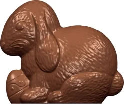 Moule chocolat lapin tenant l'oeuf