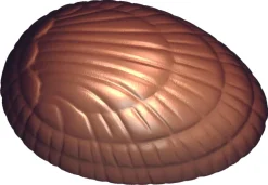 Moule chocolat 35 oeufs décor coquille