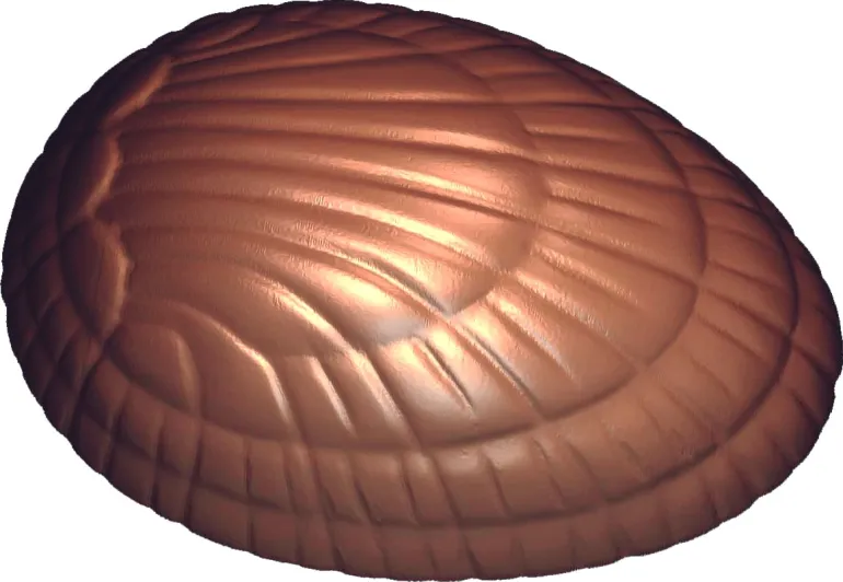 Moule chocolat 35 oeufs décor coquille