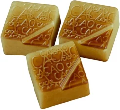 Moule chocolat praline carrée cacao