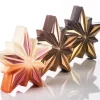 Moule chocolat étoile Polaris Pavoni