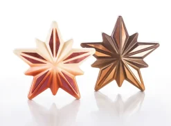 Moule chocolat étoile Polaris Pavoni