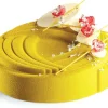 Moule double spirale Pavocake Ø 18 x ht 4,5 cm Pavoni