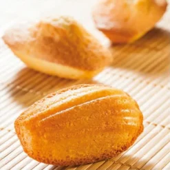 Moule 40 madeleines 60 x 40 cm Flexipan