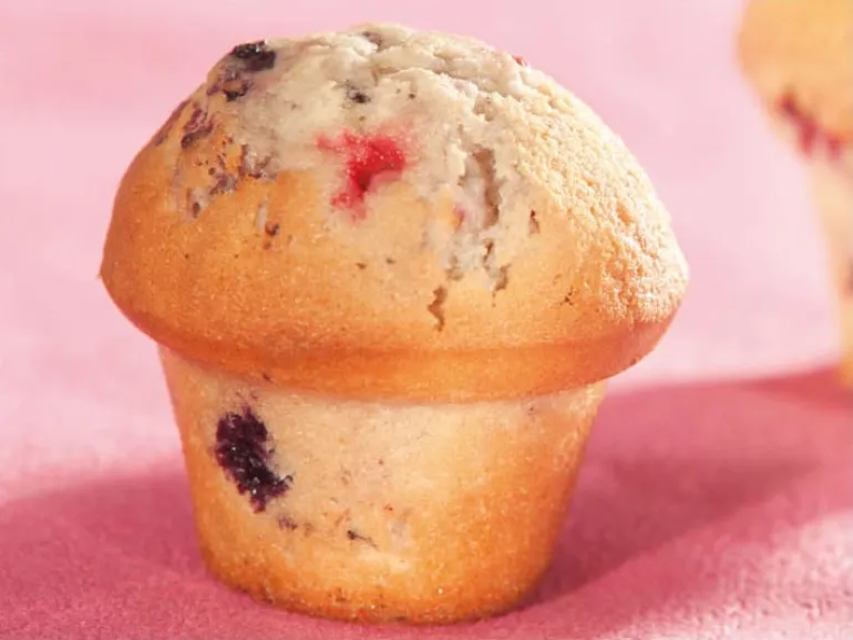 Moule 15 muffins champignon 60 x 40 cm Flexipan