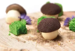 Moule silicone Champignon 30 x 17,5 cm Pavoni