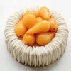 Moule silicone Charlotte par Cédric Grolet Ø 18 cm Pavoni