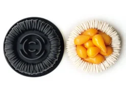 Moule silicone Charlotte par Cédric Grolet Ø 18 cm Pavoni