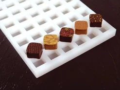 Moule silicone Chocoflex carrés 29 x 19 cm Pavoni