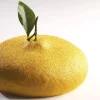 Moule silicone Citron format gâteau Par Cedric Grolet Pavoni