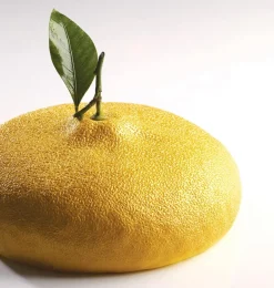 Moule silicone Citron format gâteau Par Cedric Grolet Pavoni