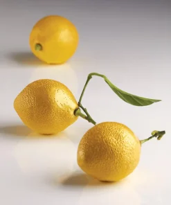 Moule silicone 3D Citron Cedric Grolet 30 x 17,5 cm Pavoni