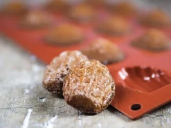 Moule silicone 15 mini-madeleines 30 x 17,5 cm Silikomart