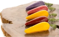 Moule silicone Naturae Carota Carotte Ø 7,8 cm 30 x 17,5 cm Silikomart