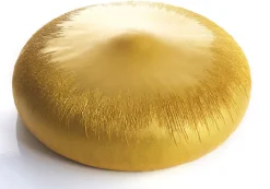 Moule silicone Noisette format gâteau Par Cedric Grolet Pavoni