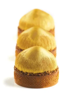 Moule silicone Noisette format tartelette Par Cedric Grolet Pavoni