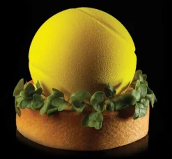 Moule silicone Pavoflex 20 balles de tennis 40 x 30 cm Pavoni