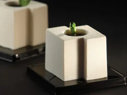 Moule silicone Pavoflex 24 cubes tekno 60 x 40 cm Pavoni