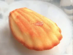 Moule silicone Pavoflex 44 madeleines 60 x 40 cm Pavoni